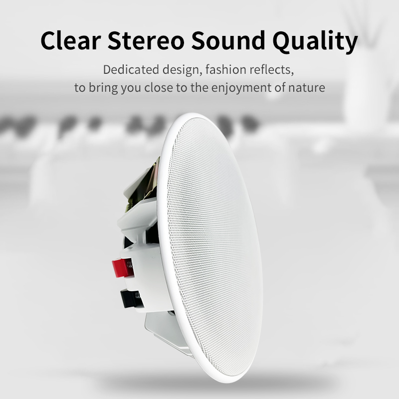 6 inch 8ohm plafondluidspreker - Audio Music Background Free recensie en prijs