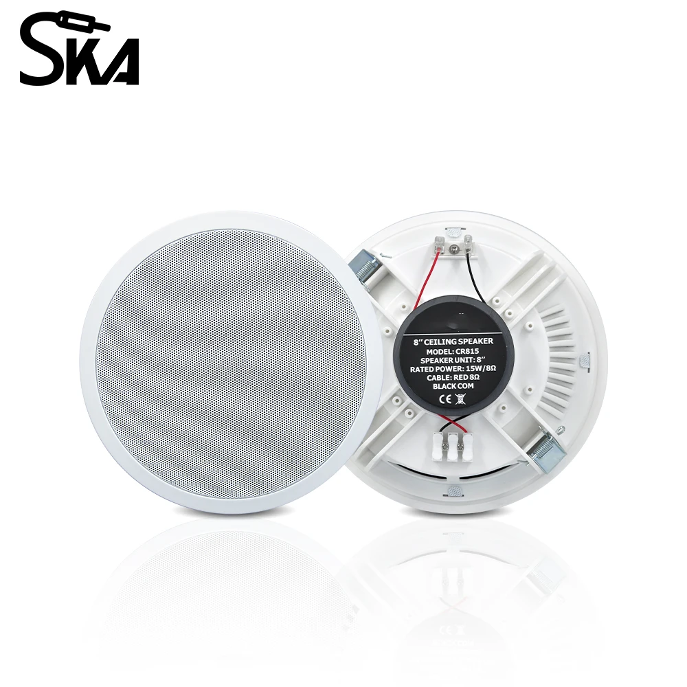 PW4420T+CR815 Smart Home Audio - Audio Music Background Free recensie en prijs