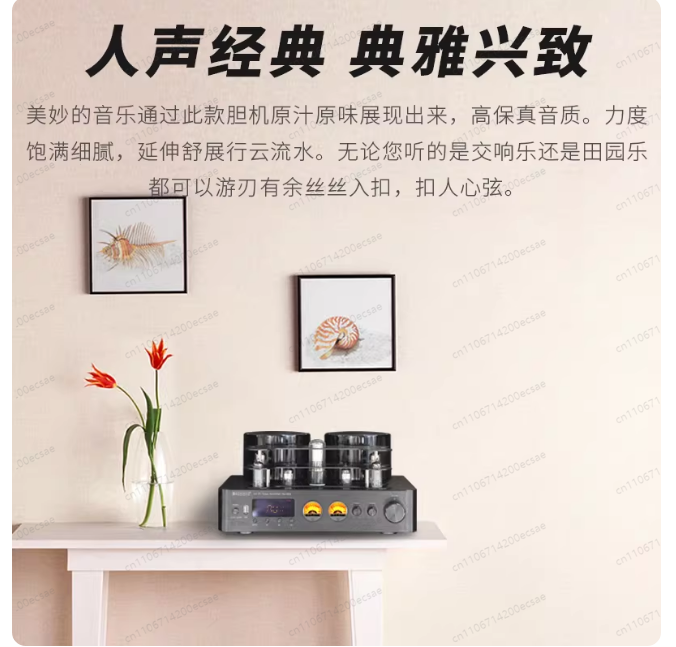 220V 400W * 2 High Fidelity dr - Audio Music Youtube recensie en prijs