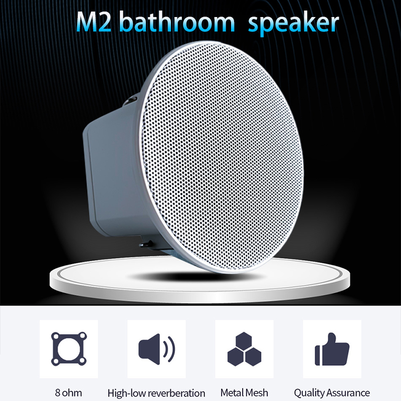 2 inch mini 8 ohm plafondluids - Audio Music Background Free recensie en prijs
